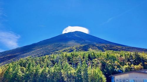 Mt Fuji Top 6 Spots Day Tour:Arakurayama Park,OshinoHakkai Day Tours