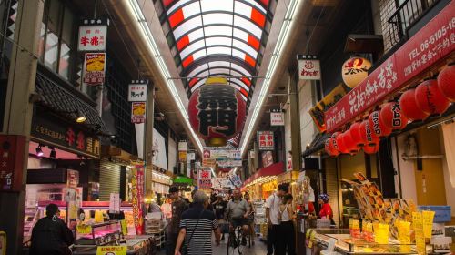 Osaka: Private Walking Shore Excursion-Kobe/Kyoto/Nara/Osaka Day Tours