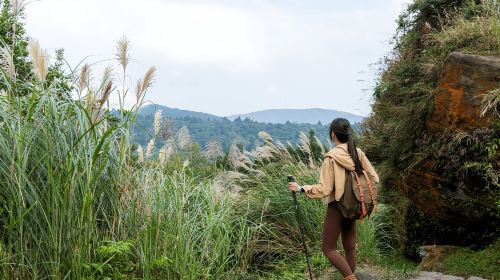 Taipei: Yangmingshan, Yehliu, and Jiufen Shifen Day Tour Day Tours
