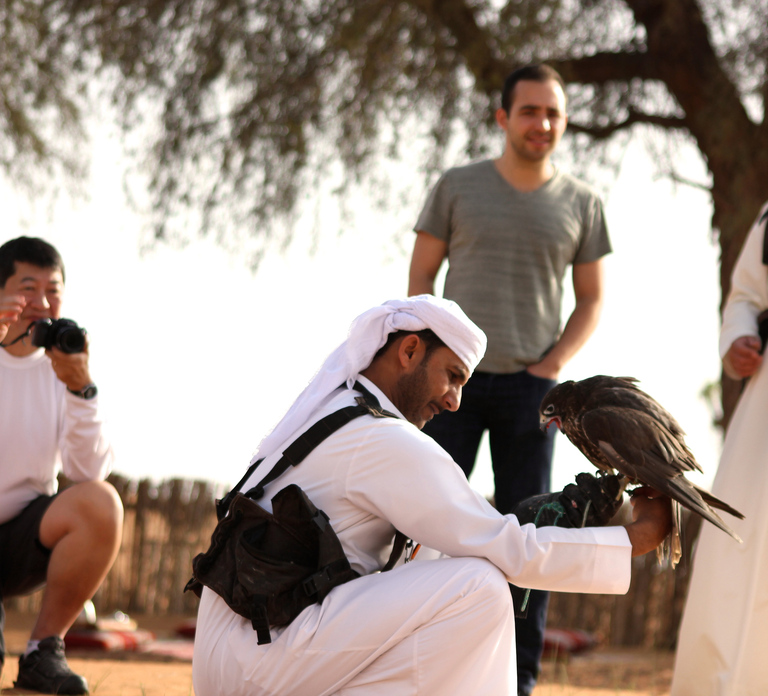 Dubai Falconry Safari