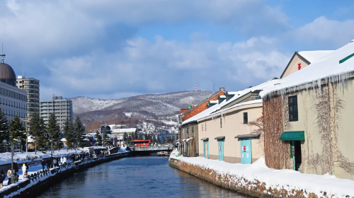 1-day tour to Cape Kamui in Hokkaido, Japan with optional pickup · Picking at Otaru Island's Takei Coast Distillery