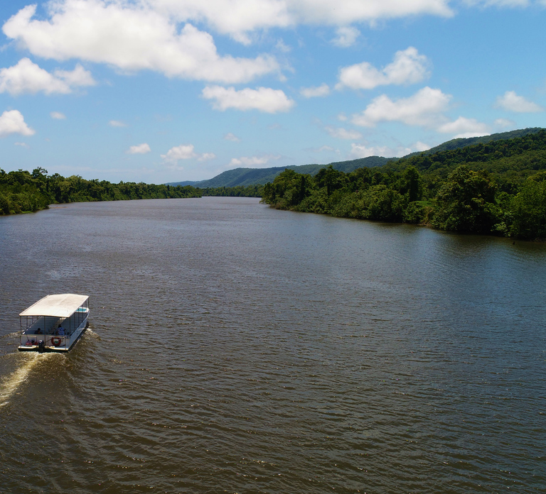 Cairns: Daintree Rainforest Wildlife Experience Cruise