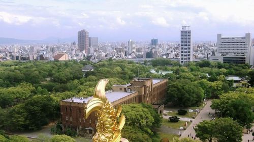 Osaka Castle: Museum and Tower Entry Ticket Day Tours