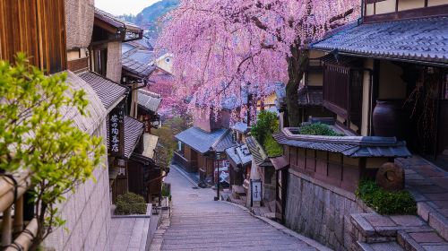 1-day tour in Kyoto and Uji – Kinkaku-ji & Kiyomizu-dera Temple & Byōdō-in - exploring temples and shrines