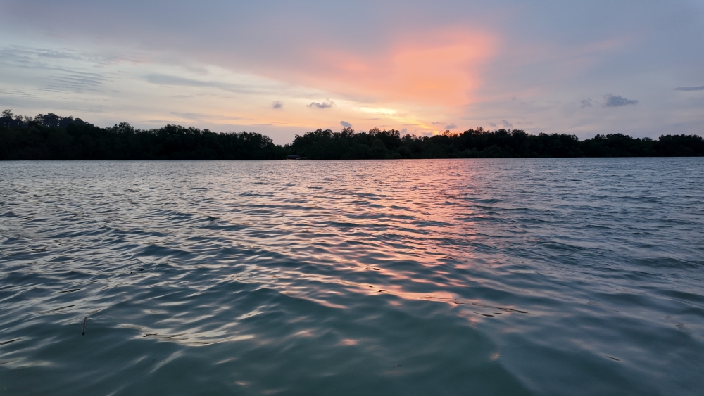 Fireflies Tour with Blue Tears Watching, Eagle Feeding and Seafood Dinner