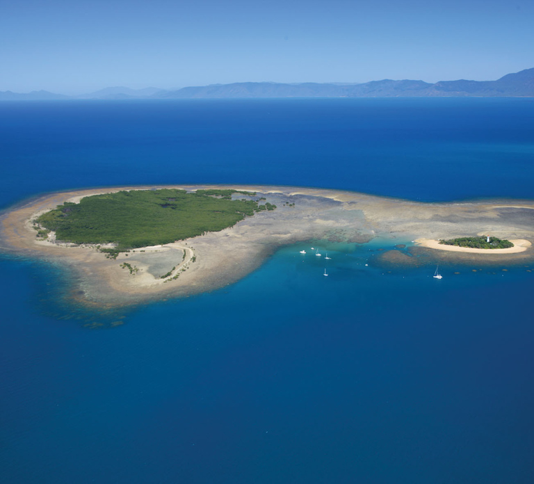 Port Douglas: Low Isles Afternoon Cruise on Luxury Catamaran