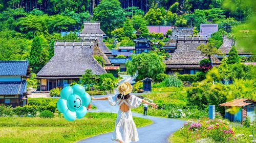 Kyoto in One Day: Amanohashidate, Ine Funaya & Miyama Thatched Village Day Tours