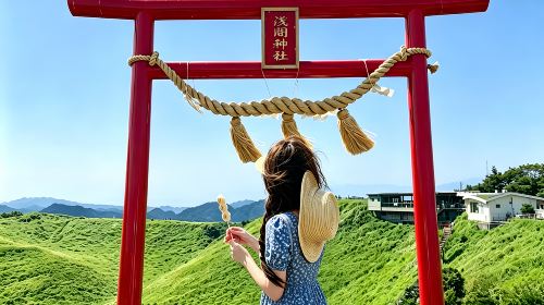Japan Tokyo Izu 1-day tour – Mt. Omuro, zoo, scenic train experience