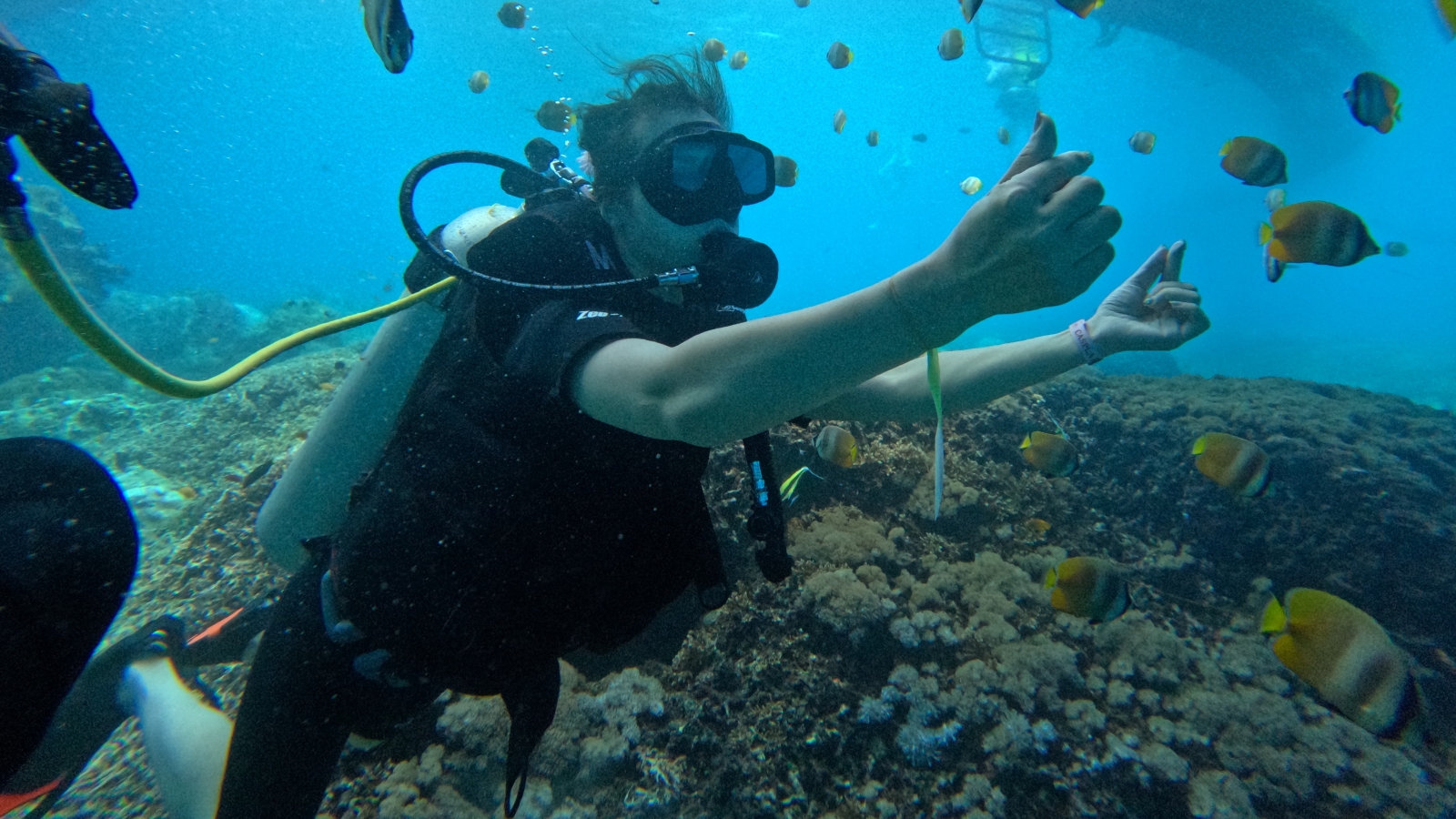 Diving & Snorkeling Packages