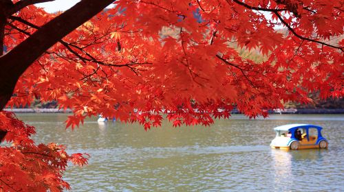 Pocheon 1-day tour: Sanjung Lake + Gukdonggeori Waterfall + Pocheon Herb Island