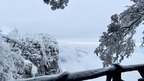 1-on-1 live guided tour in Zhangjiajie – Certified guide – Full Accompanying Service