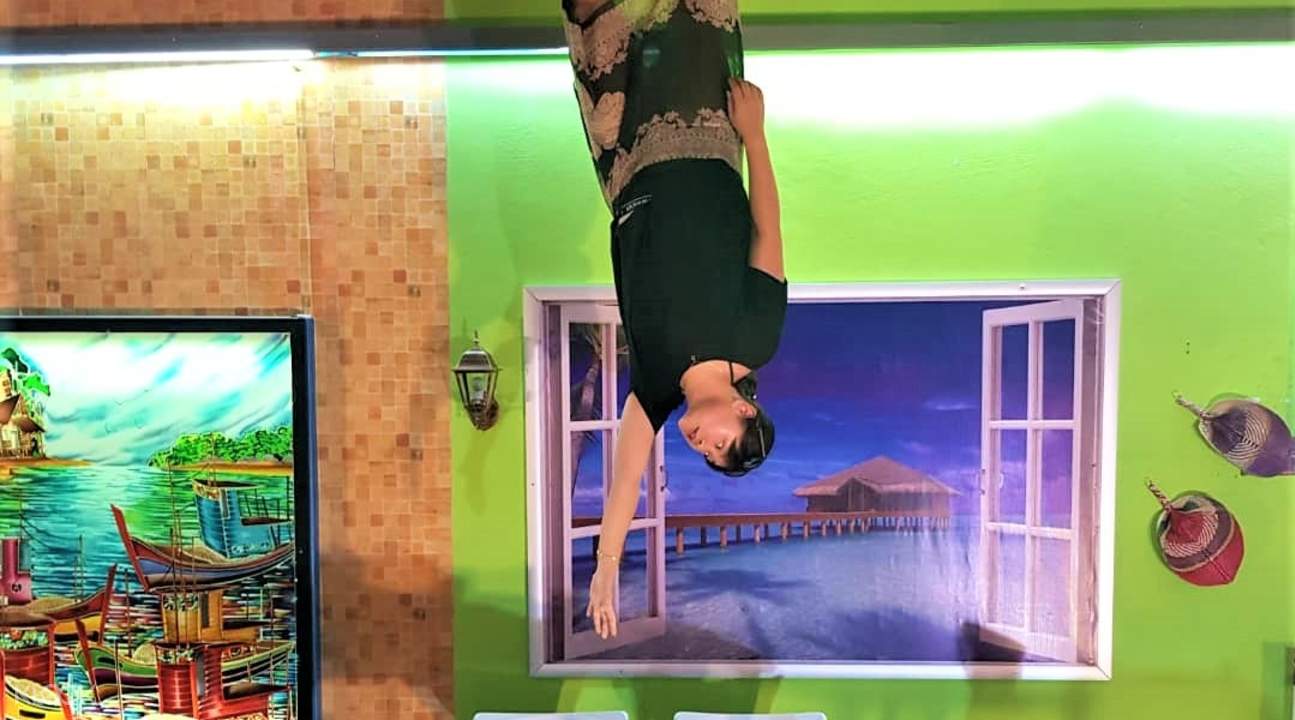 Upside Down House Gallery and Busquarium Ticket in Langkawi