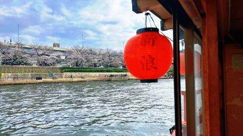 Tokyo, Japan Night Cruise on the Sumida River Sakura Viewing Limited [Traditional Japanese Performance + Kuroge Wagyu Sukiyaki Dinner + Self-service Beverage Machine] Transport Passes