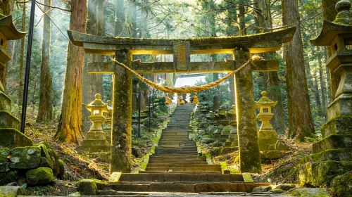 Kyushu Miyazaki 1-Day Tour | Kamishikimi Kumanoimasu Shrine, Takachiho & Amanoiwato Shrine, etc. (English/Chinese Optional) Day Tours