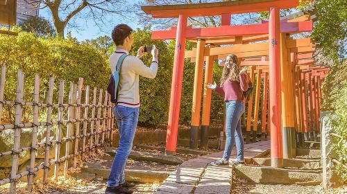 Discover Tokyo, Private Customized Tour with Expert Guides Day Tours