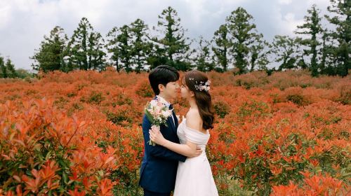 Trip Moments in Toyama, Japan