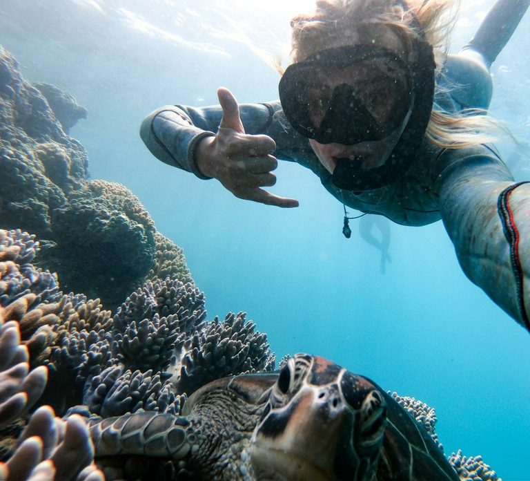 Whitsundays: 2-Day, 2-Night Maxi Yacht Sailing Adventure