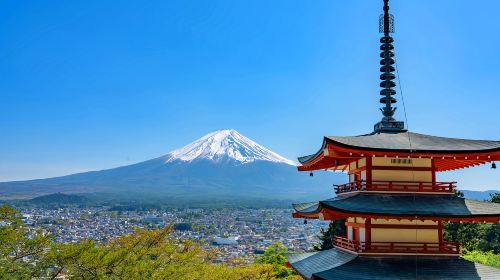Japan Tokyo Mt. Fuji Lake Kawaguchi & Yamanakako & Lawson/Hikkawa one-day tour|Internet celebrity panoramic check-in Day Tours