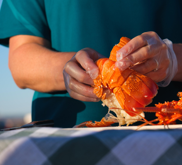 Geraldton: Behind-The-Scenes Ocean Harvest Tour