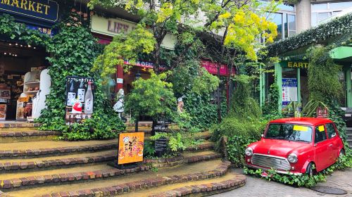 1-Day Tour of Kyushu's Fairy Tale Nature in Japan · Zoo · Yufuin Fairy Tale Street · Mountain Views