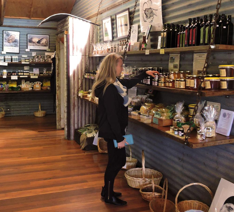 Kangaroo Island: Half-Day Tour Guided Coach Tour