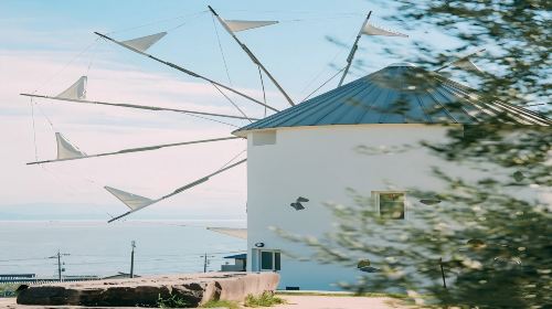 Shodoshima Olive Park + Kankakei Ropeway + 24 Eyes Movie Village + Great Kannon Day Tour Day Tours