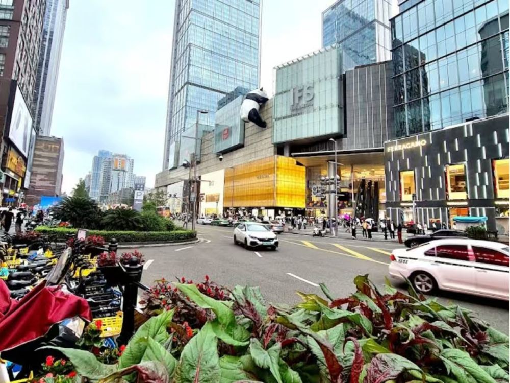 Chengdu Panda Park Daily Bus Tour with Tickets by CITS XZANBUS