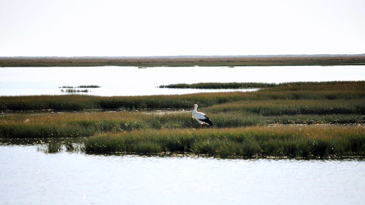 Tour Image 1