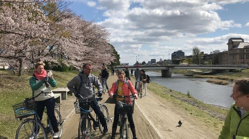 Cycle Kyoto's Hidden Gems & Gion Stroll Day Tours