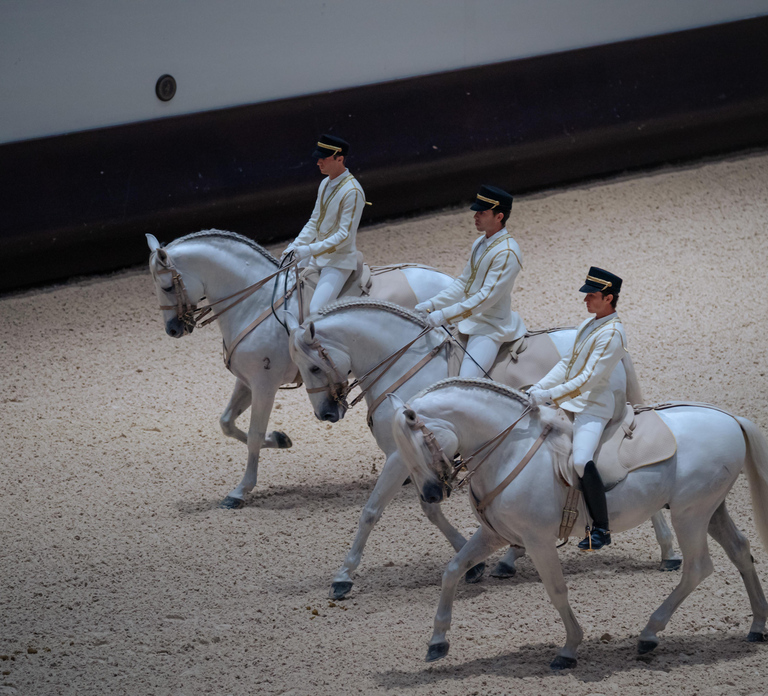 Furusiyya: The Return to Origins - ADREA Show