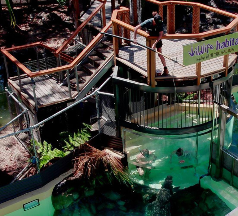 Port Douglas: Wildlife Habitat Swim with Crocodiles
