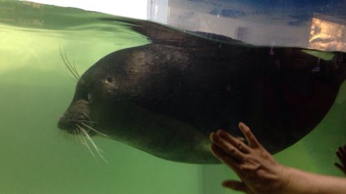 Lake Biwa Museum
