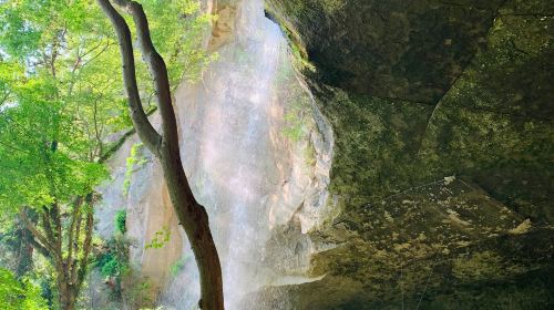 Japan daruma tour - Waterfall ascetic experience