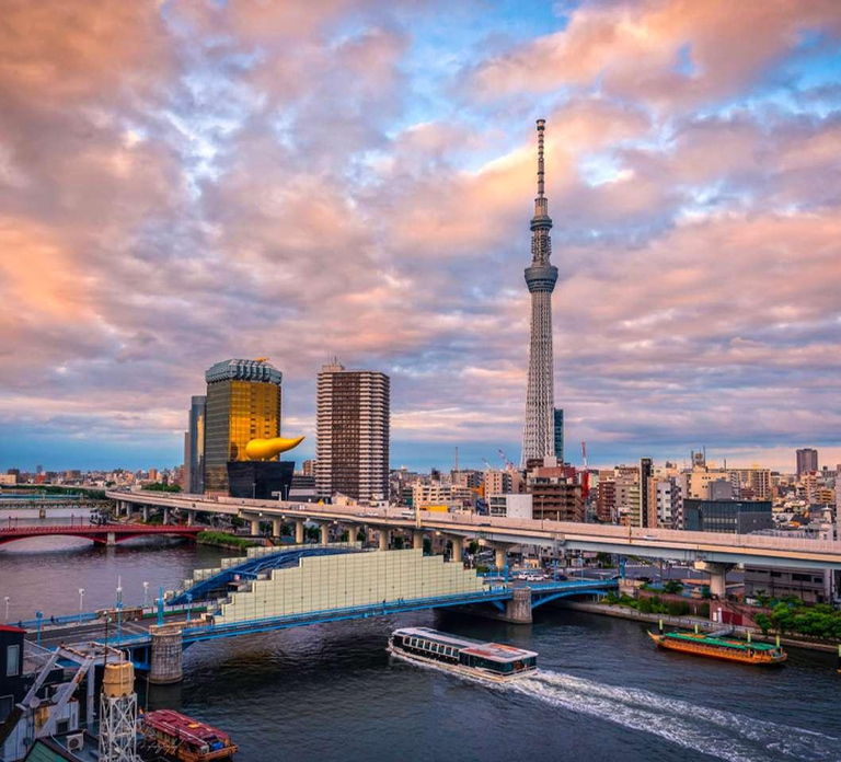 Tokyo : Tokyo Full-Day Sightseeing City Tour Driver / Guide