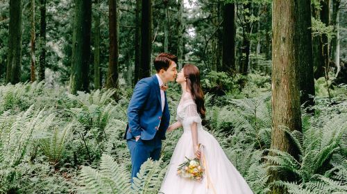 Trip Moments in Fukushima, Japan