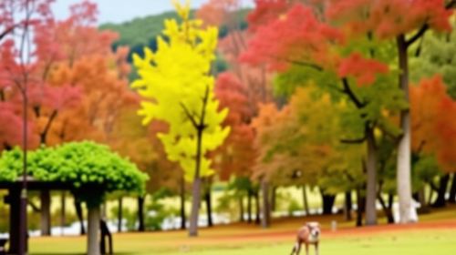 From Osaka Port: Private 10-Hour Nara Tour (with Customizable Itinerary)