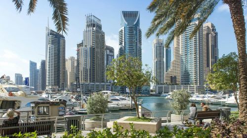 Guided walking tour of Dubai Marina with food tasting Participant (4-64)