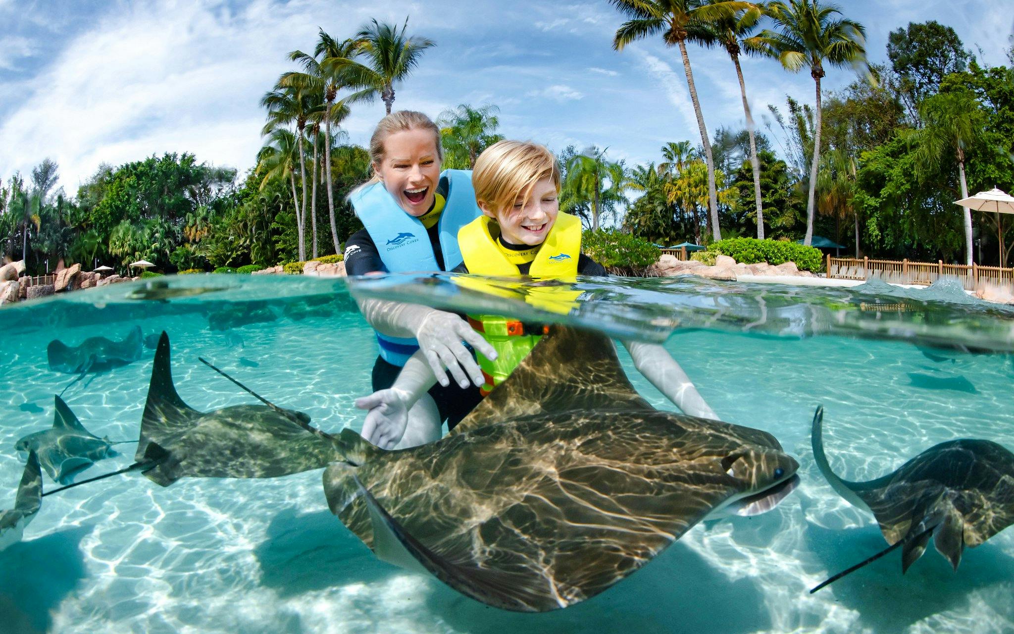 Discovery Cove Day Resort Tickets