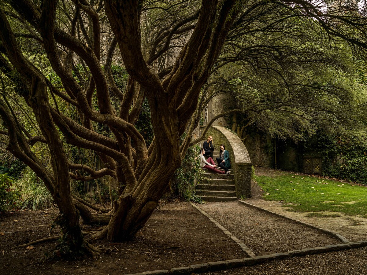 Tour Image 2