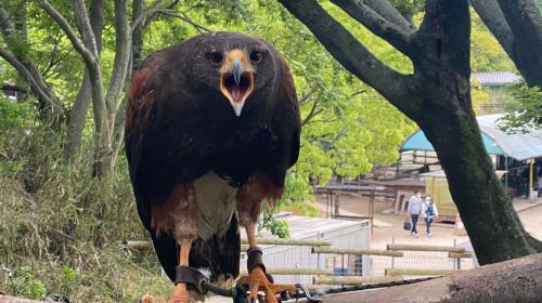 Shirotori Zoo