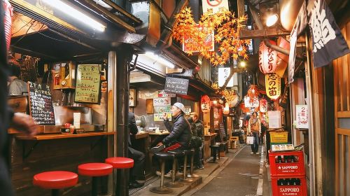 Shinjuku Golden Gai Food Tour Day Tours