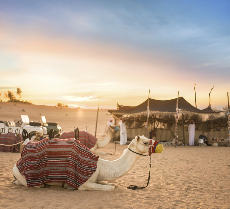 Dubai: Morning Bedouin Culture Safari, Traditional breakfast