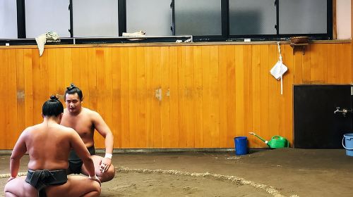 Watch Sumo Morning Practice at Stable in Tokyo Day Tours