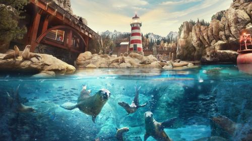 From Dubai Shared Tour: Abu Dhabi Seaworld & Grand Mosque Tour Day Tours