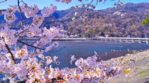 [Pure Fun] Sanzen-in Temple + Arashiyama + Arashiyama Sagano Sightseeing Train one-day tour to Osaka, Kyoto, Japan Day Tours