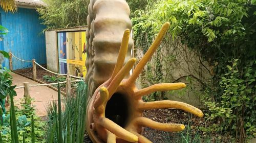 Aquarium d'Amneville
