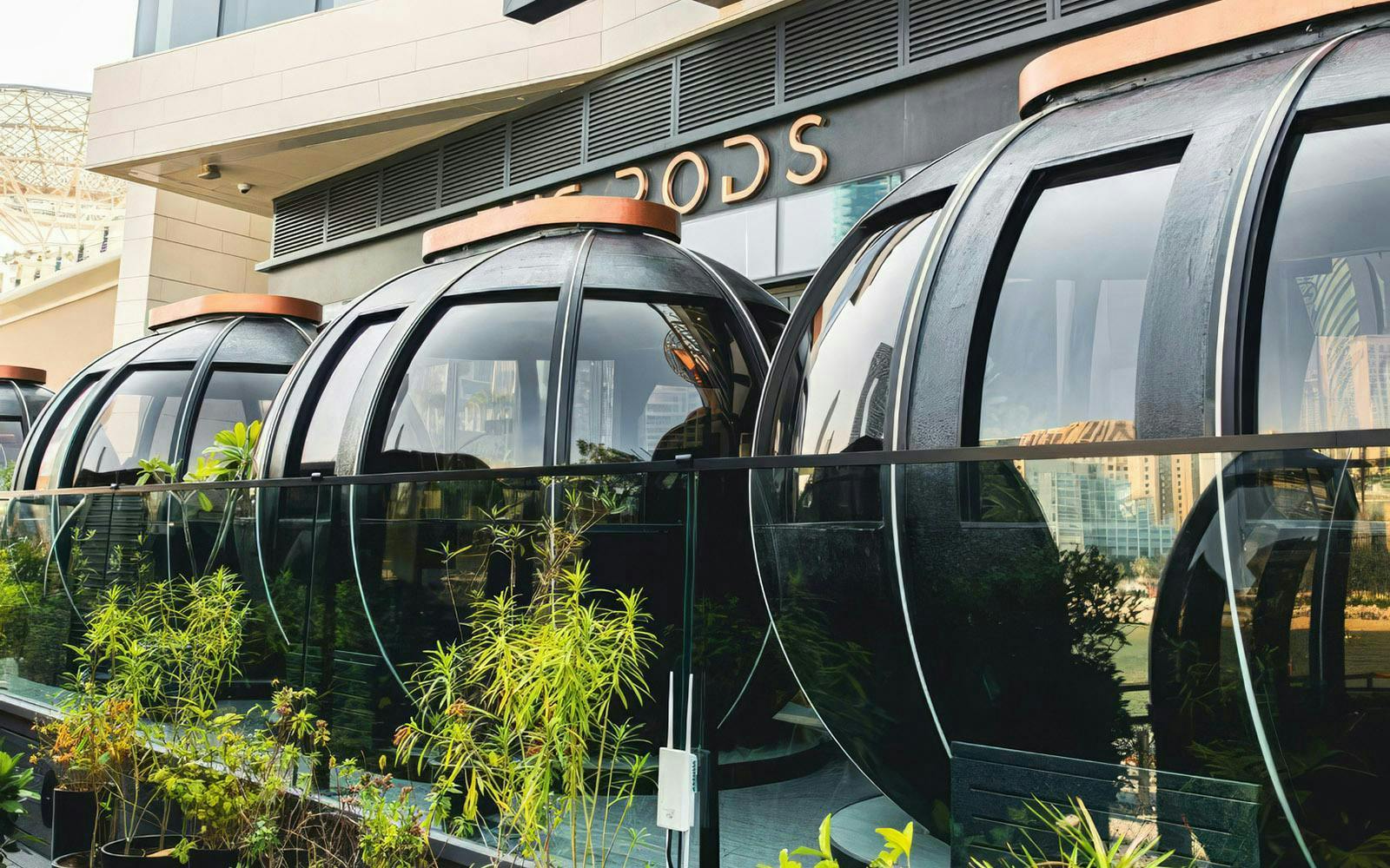The Pods Dubai: 4-Course Pan-Asian Dining Experience