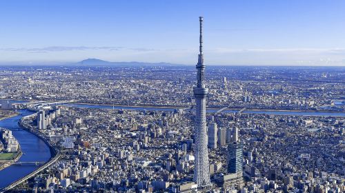 Tokyo: 1 Day Bus Tour with Meiji-Jingu,Odaiba,lunch&Skytree Day Tours