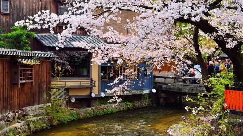 Kyoto Gion Night Walk & Geisha District Guided Tour Day Tours