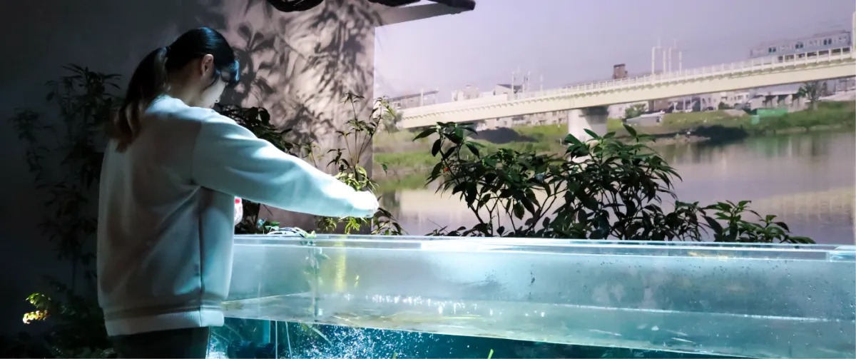 Kawasui Kawasaki Aquarium